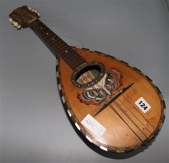 Rosewood mandolin